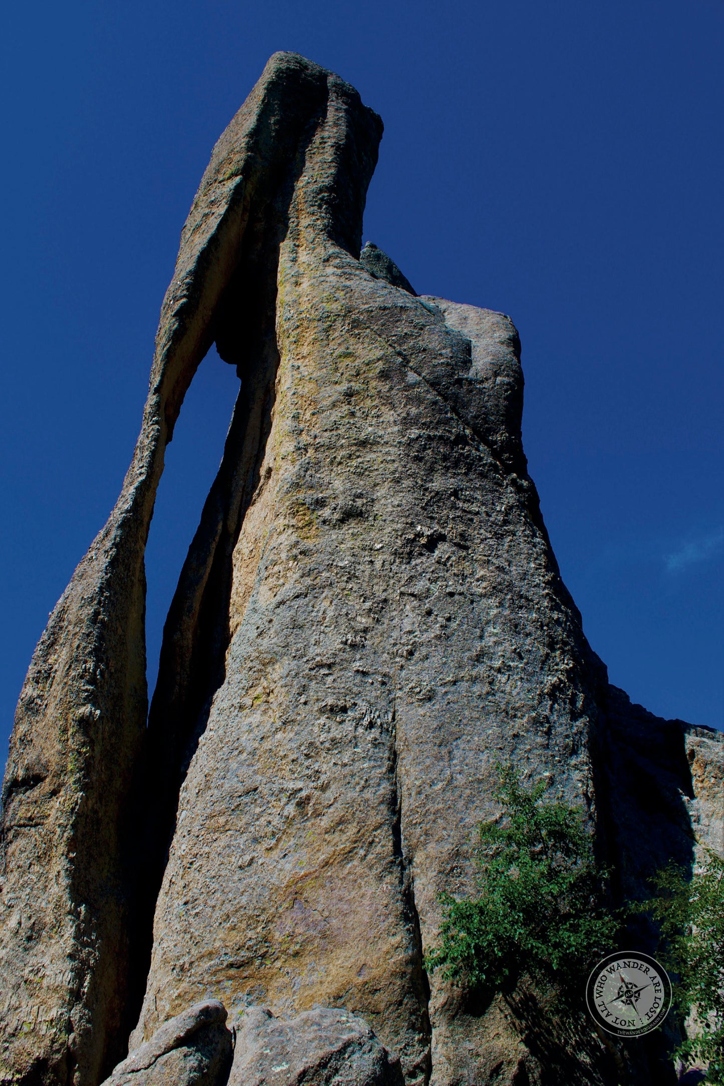 Needles
