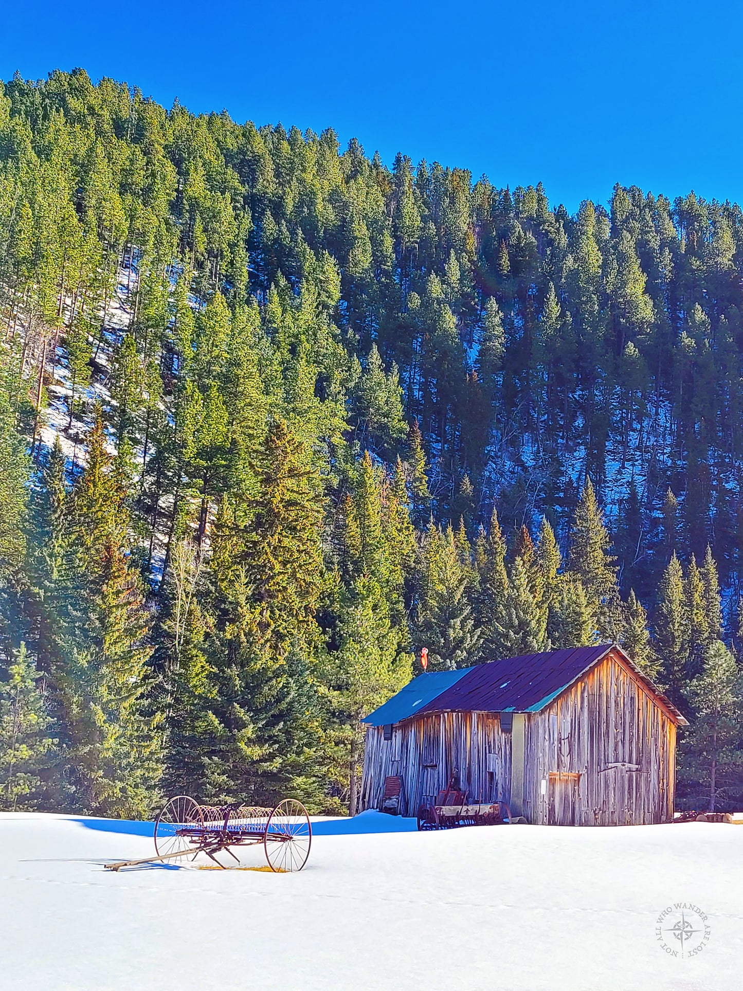 SHED